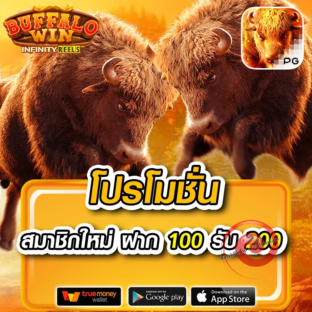 ทางเข้า win88